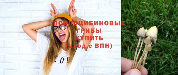 бутират Верхний Тагил