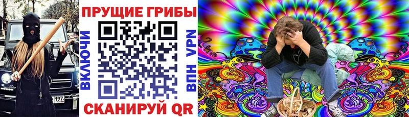 Галлюциногенные грибы мицелий  где продают наркотики  Выборг 